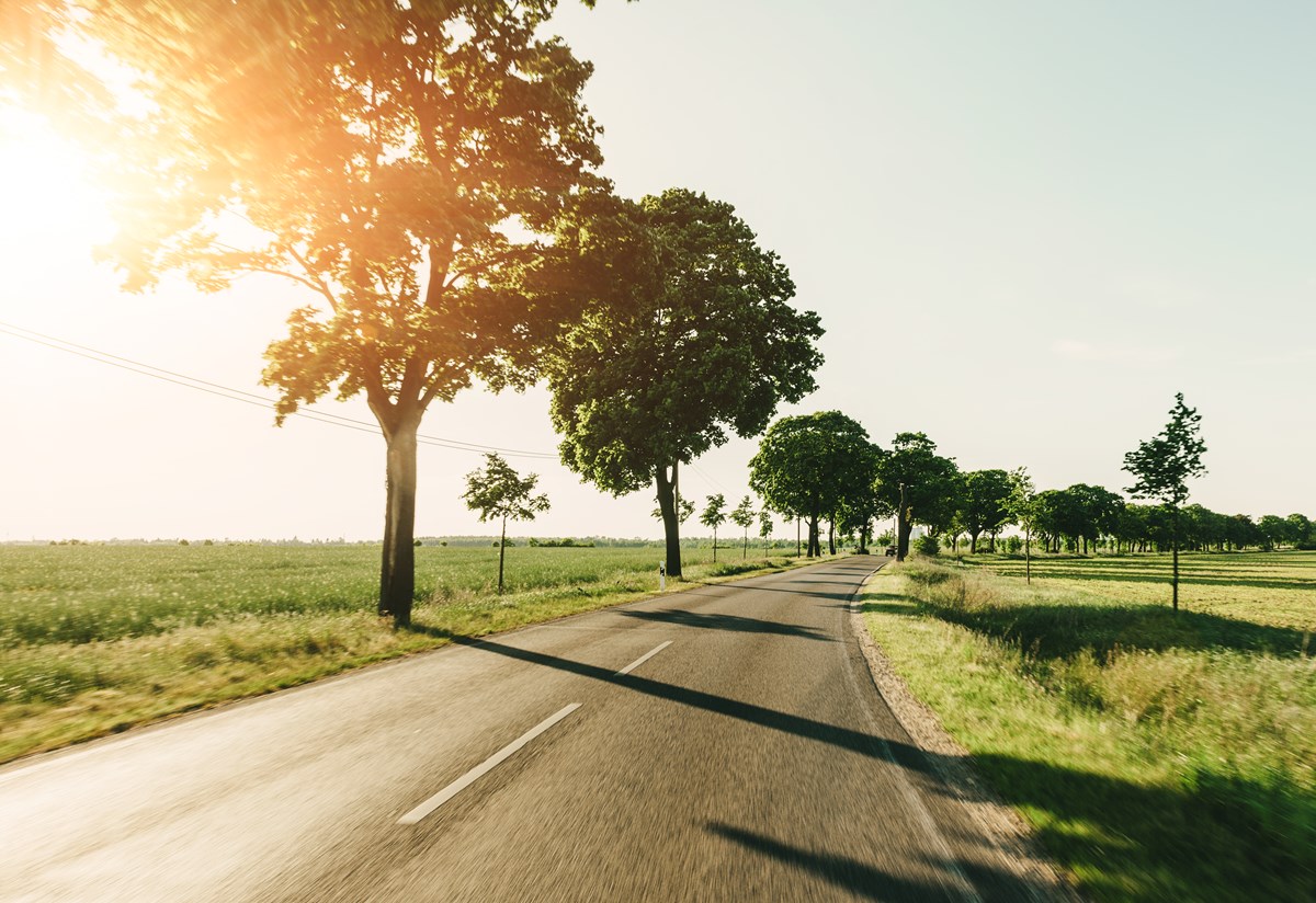 Vårväg_träd_iStock-532169311